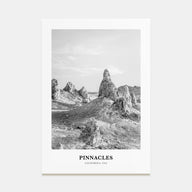 Pinnacles National Park Portrait B&W Poster