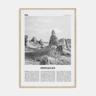 Pinnacles National Park Travel B&W Poster