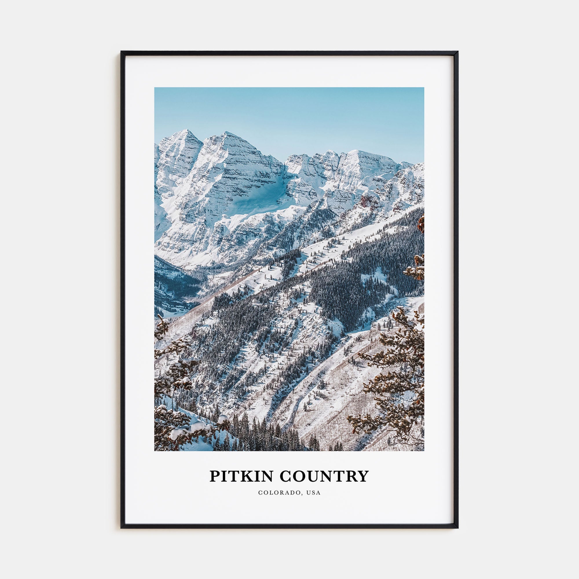 Pitkin County Portrait Color Poster