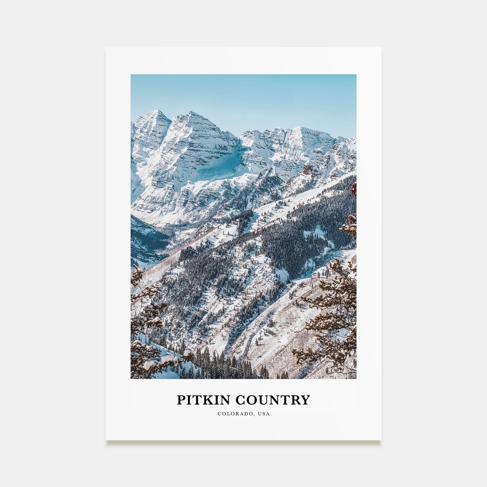 Pitkin County Portrait Color Poster