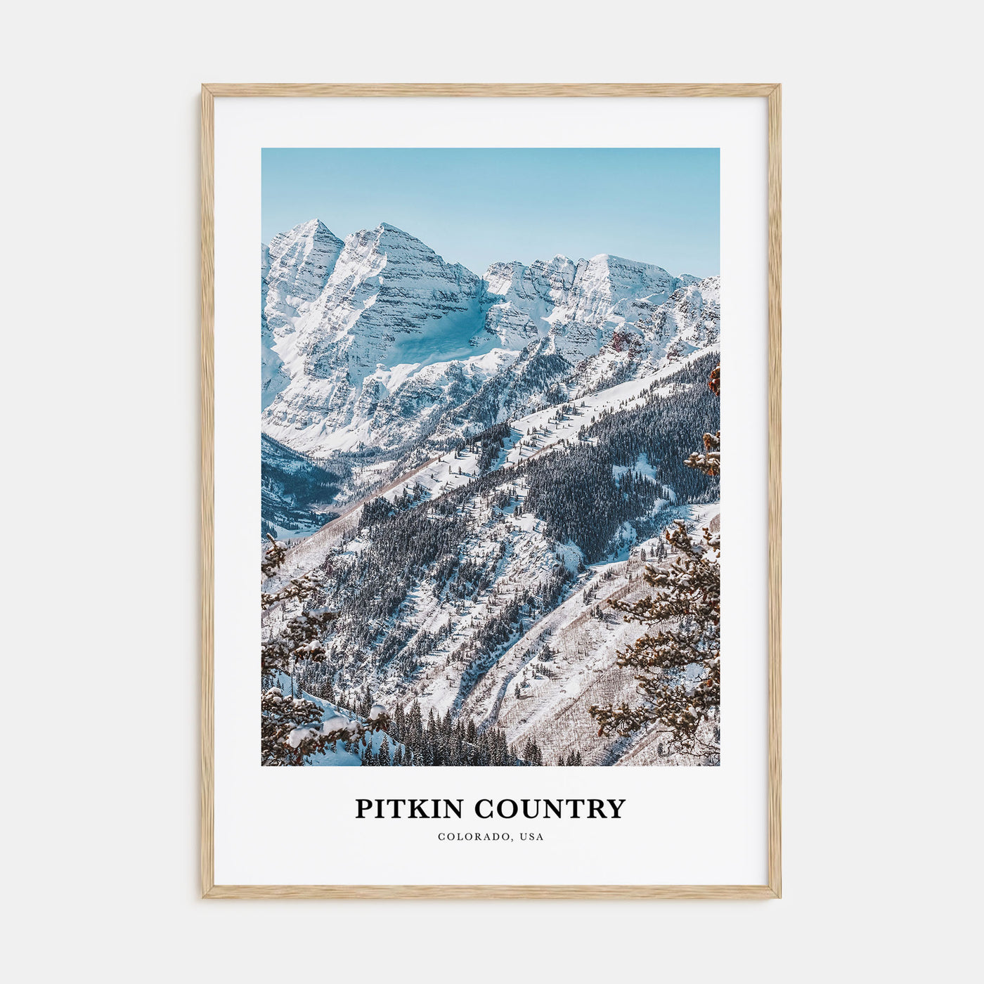 Pitkin County Portrait Color Poster