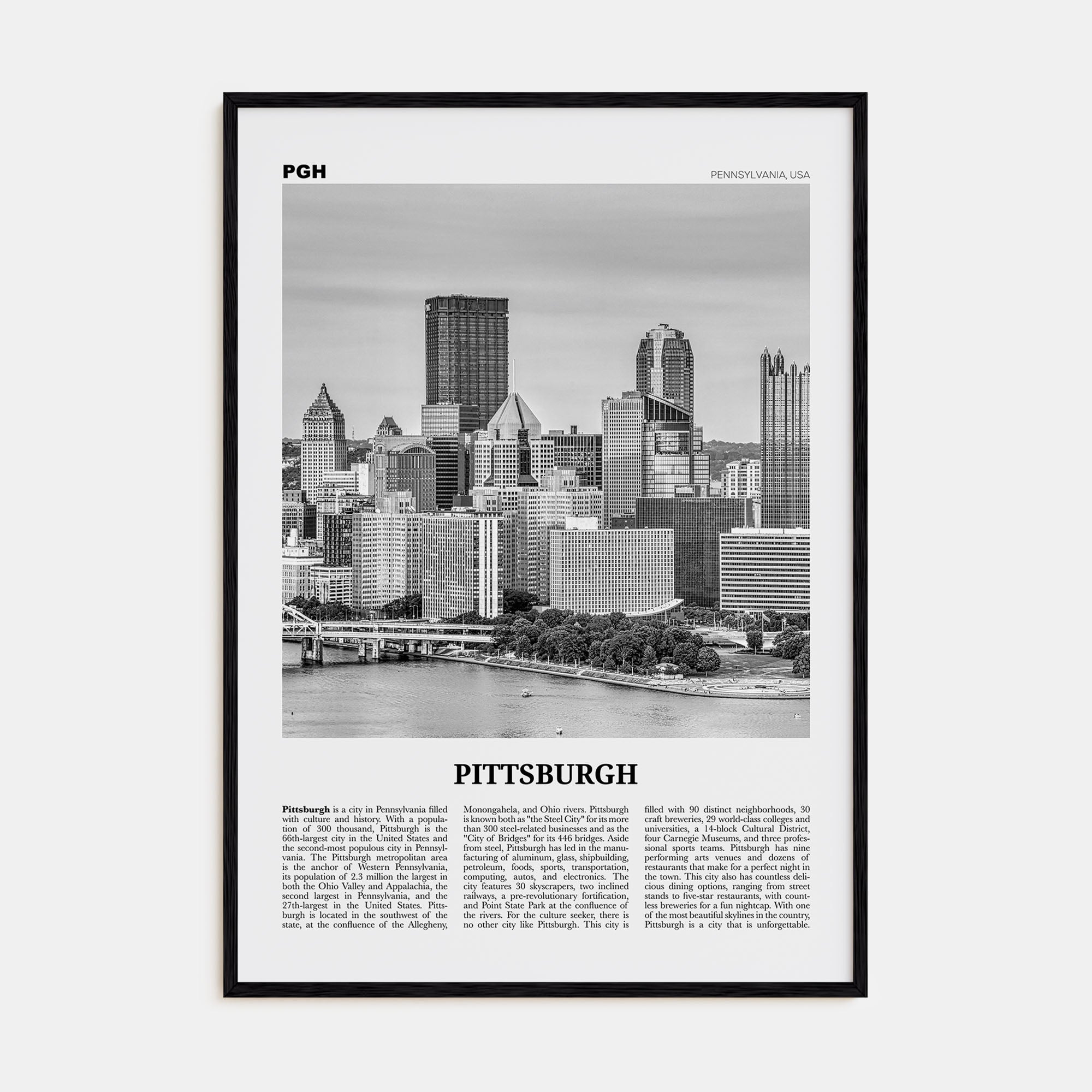 Pittsburgh Travel B&W No 2 Poster