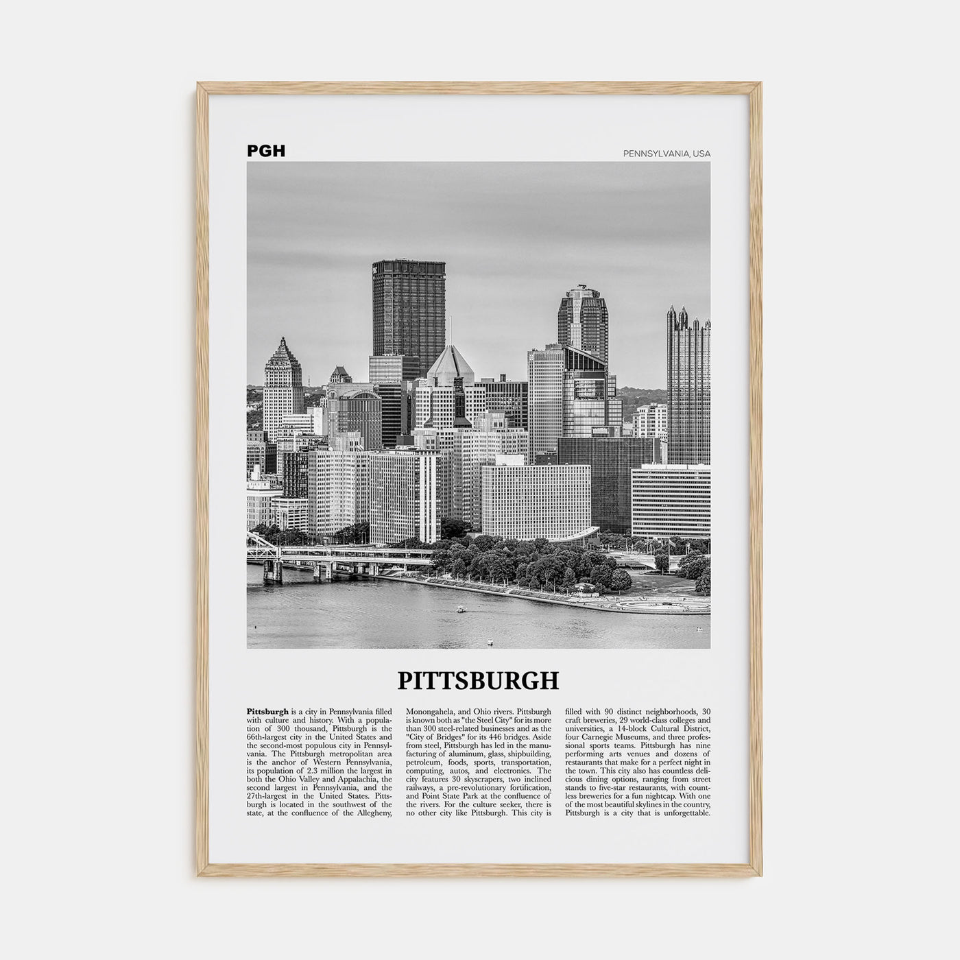 Pittsburgh Travel B&W No 2 Poster