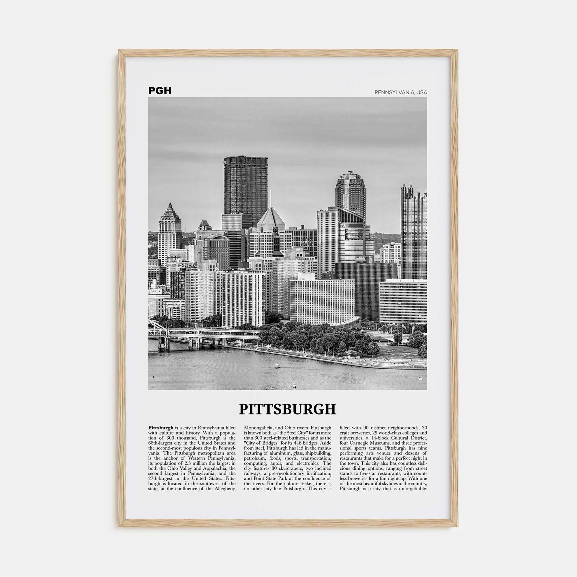 Pittsburgh Travel B&W No 2 Poster