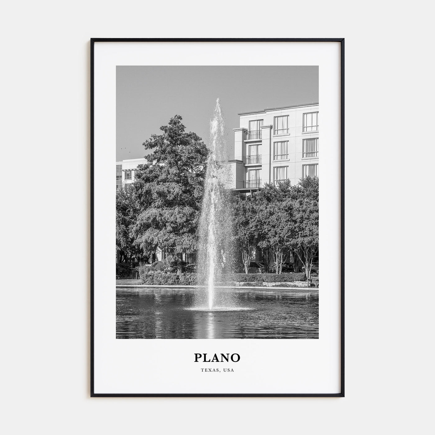 Plano Portrait B&W Poster