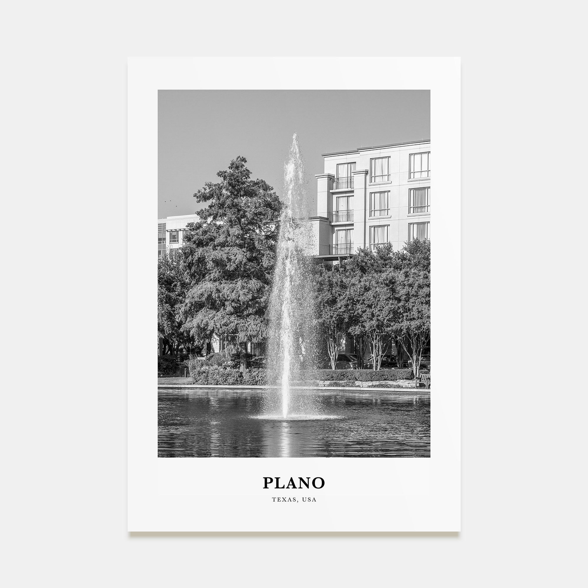 Plano Portrait B&W Poster