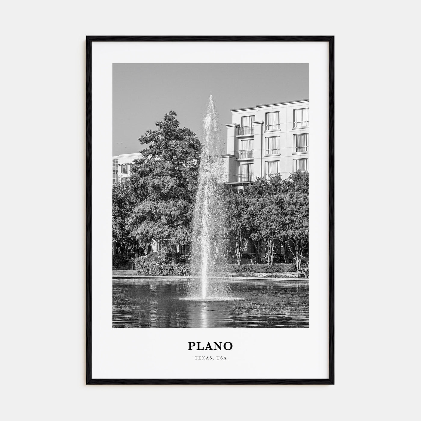 Plano Portrait B&W Poster