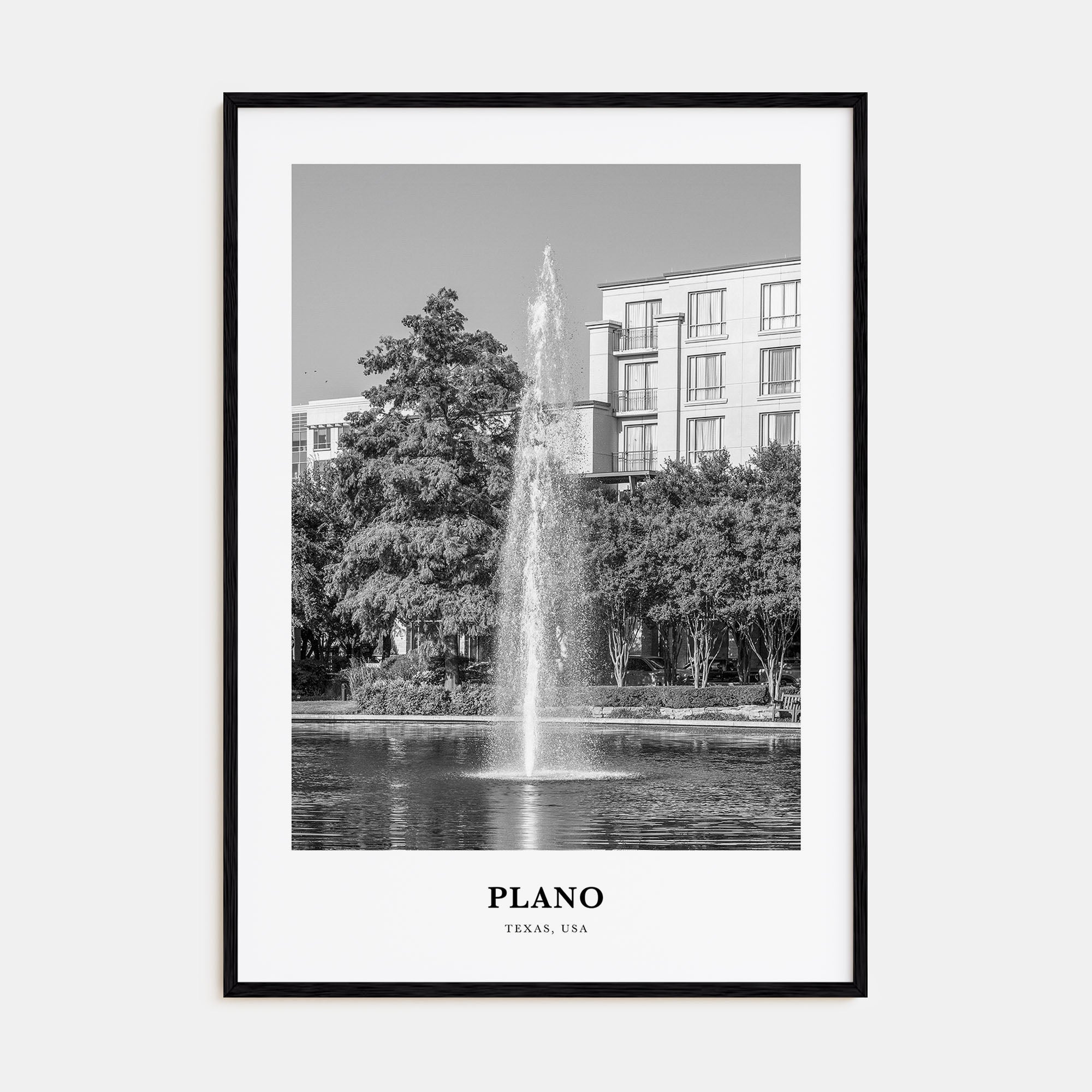 Plano Portrait B&W Poster