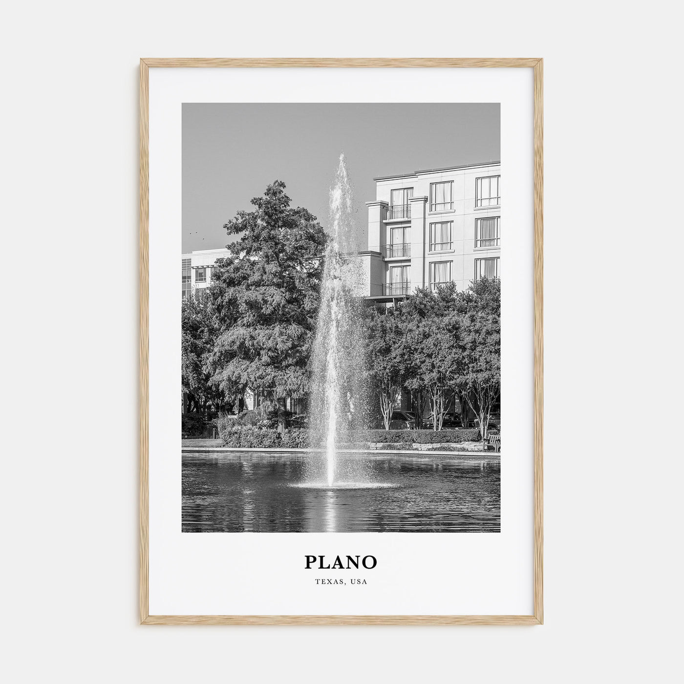 Plano Portrait B&W Poster