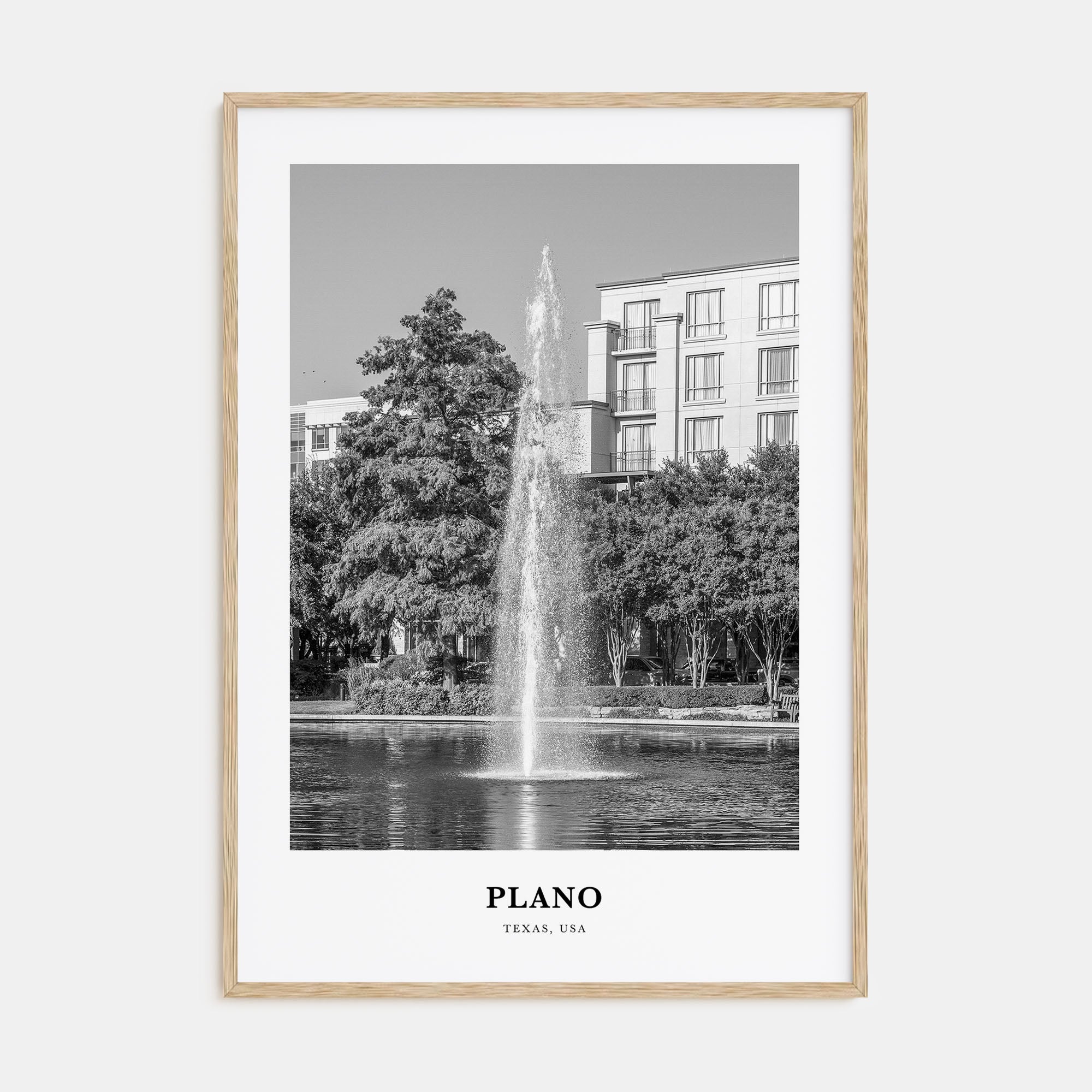 Plano Portrait B&W Poster