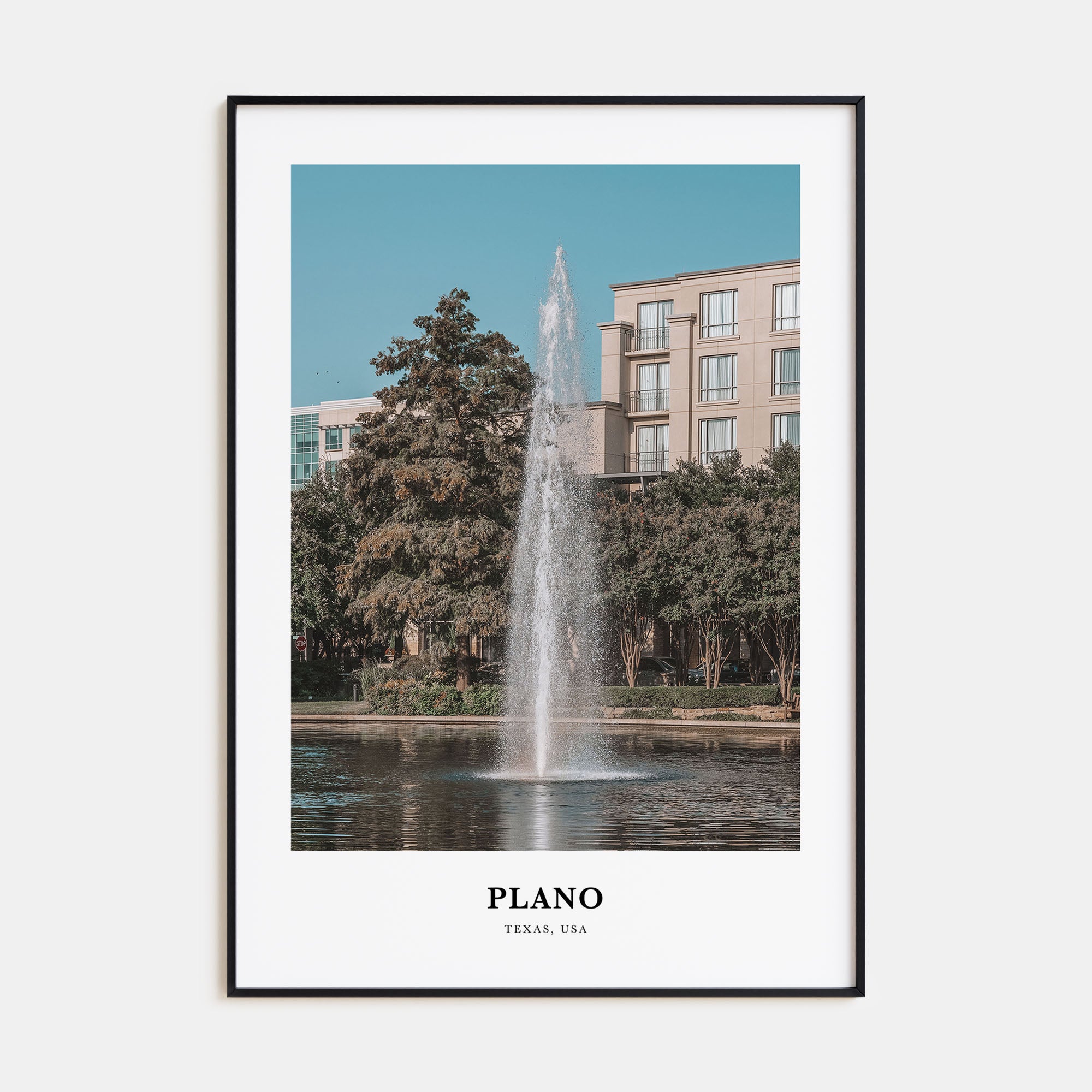Plano Portrait Color Poster