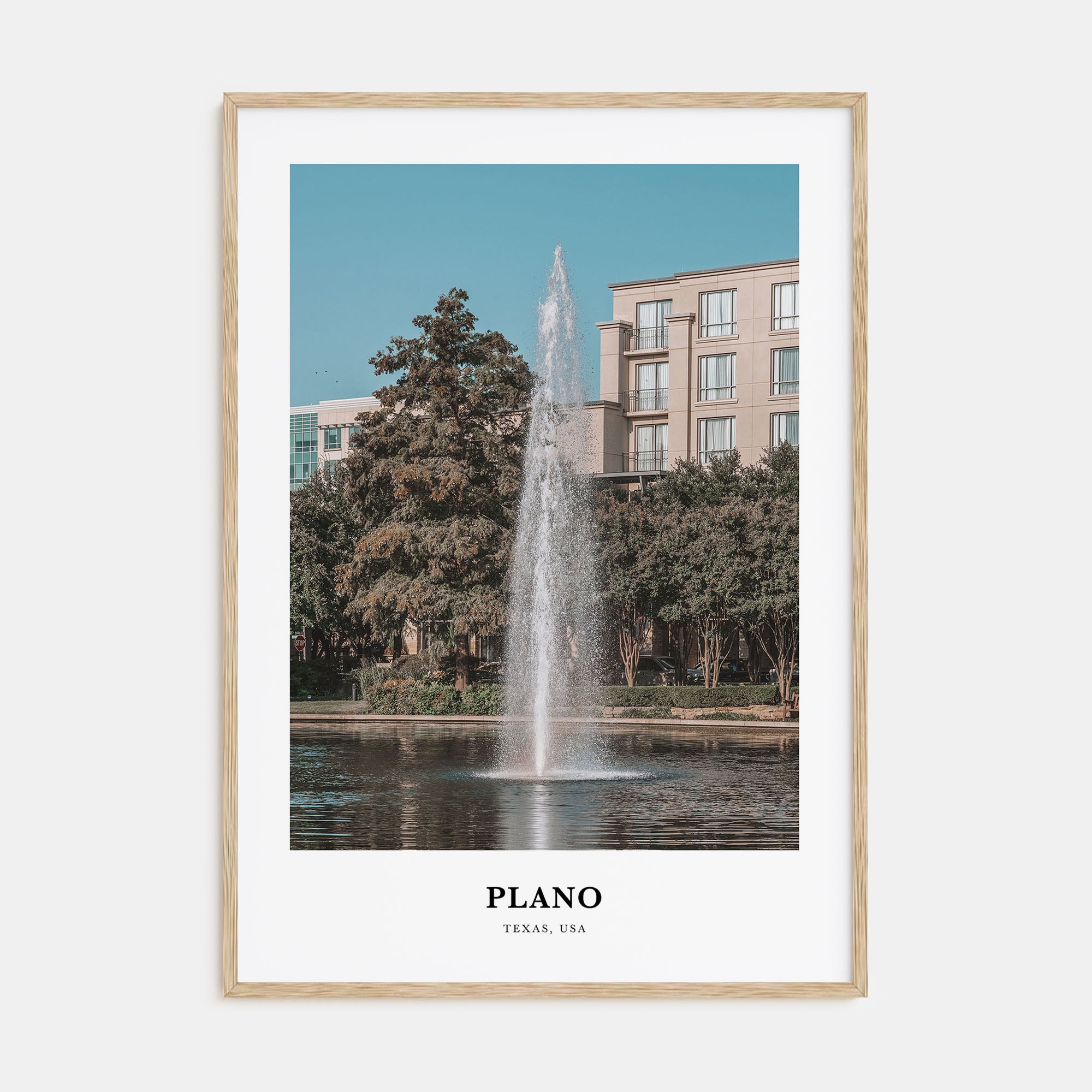 Plano Portrait Color Poster