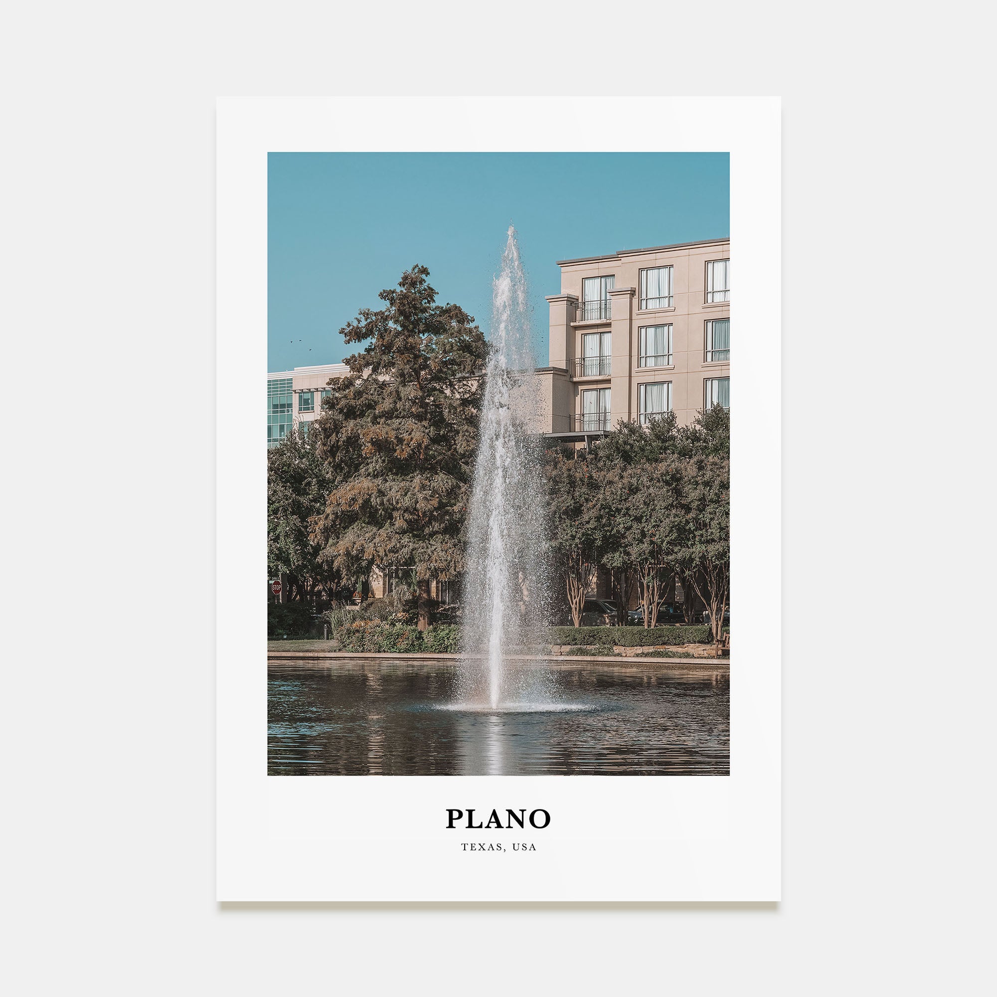 Plano Portrait Color Poster