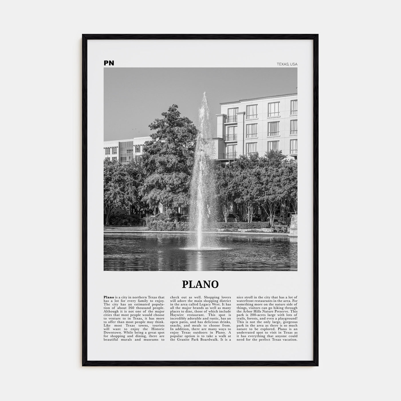Plano Travel B&W Poster