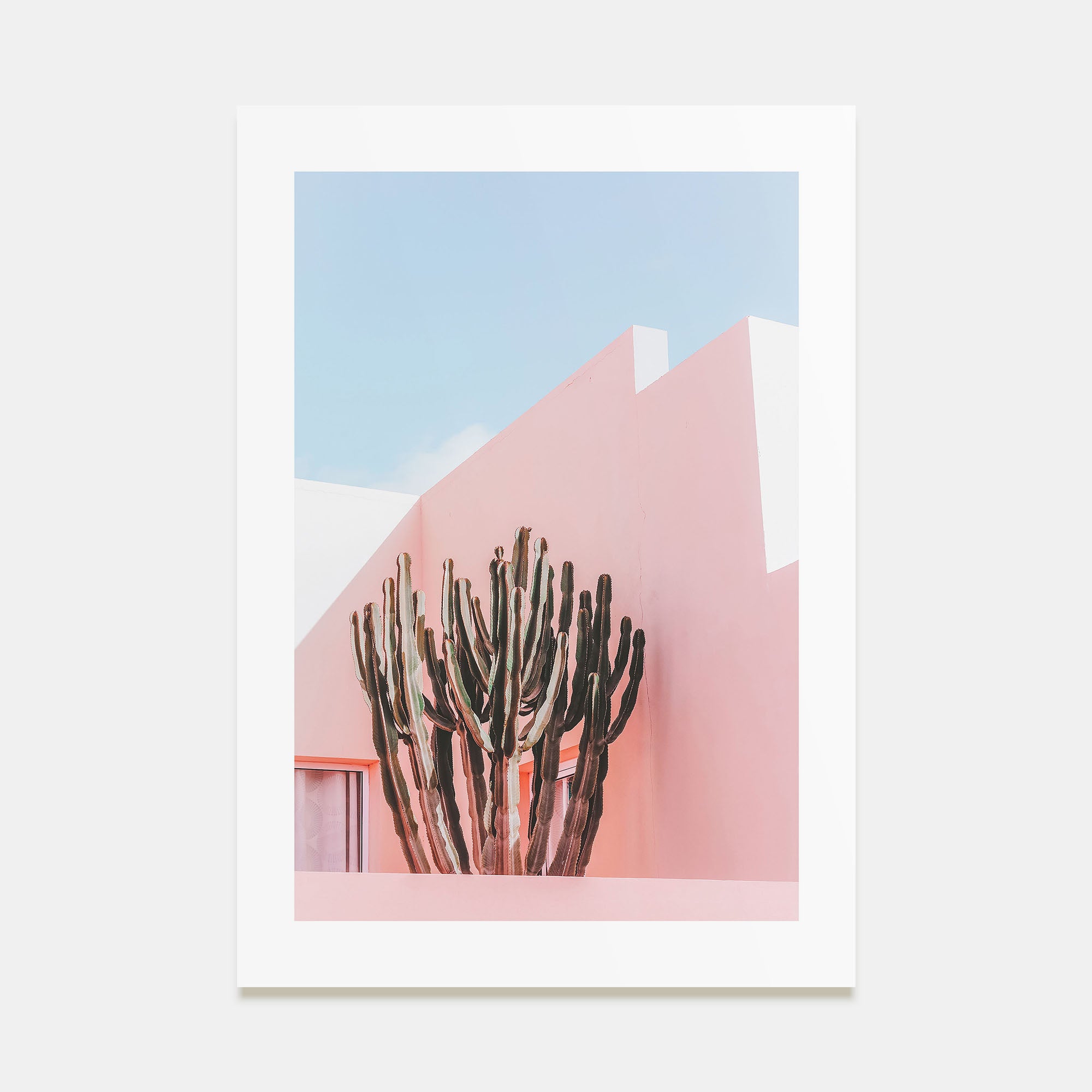 Plants on Pink Photo Color Poster