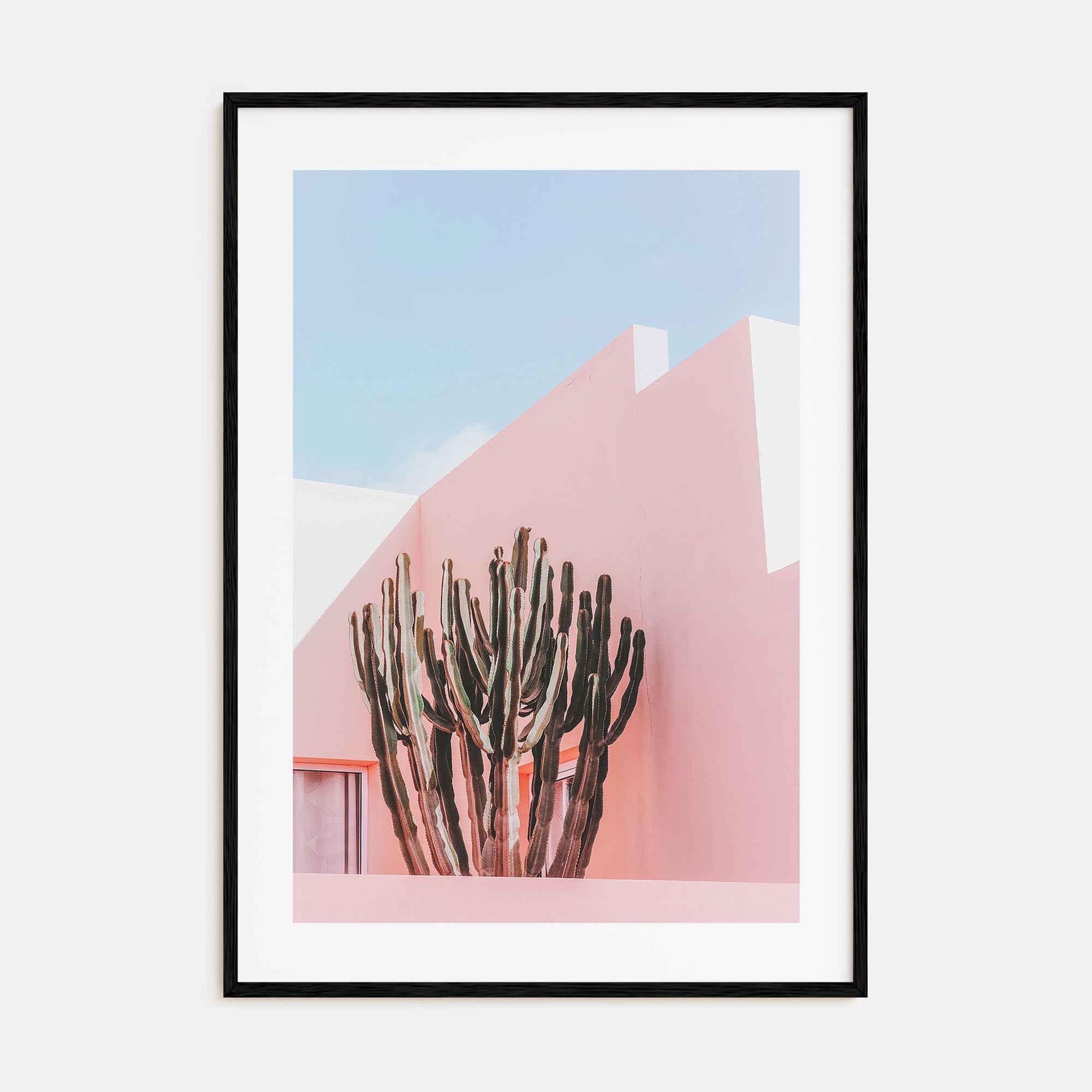 Plants on Pink Photo Color Poster