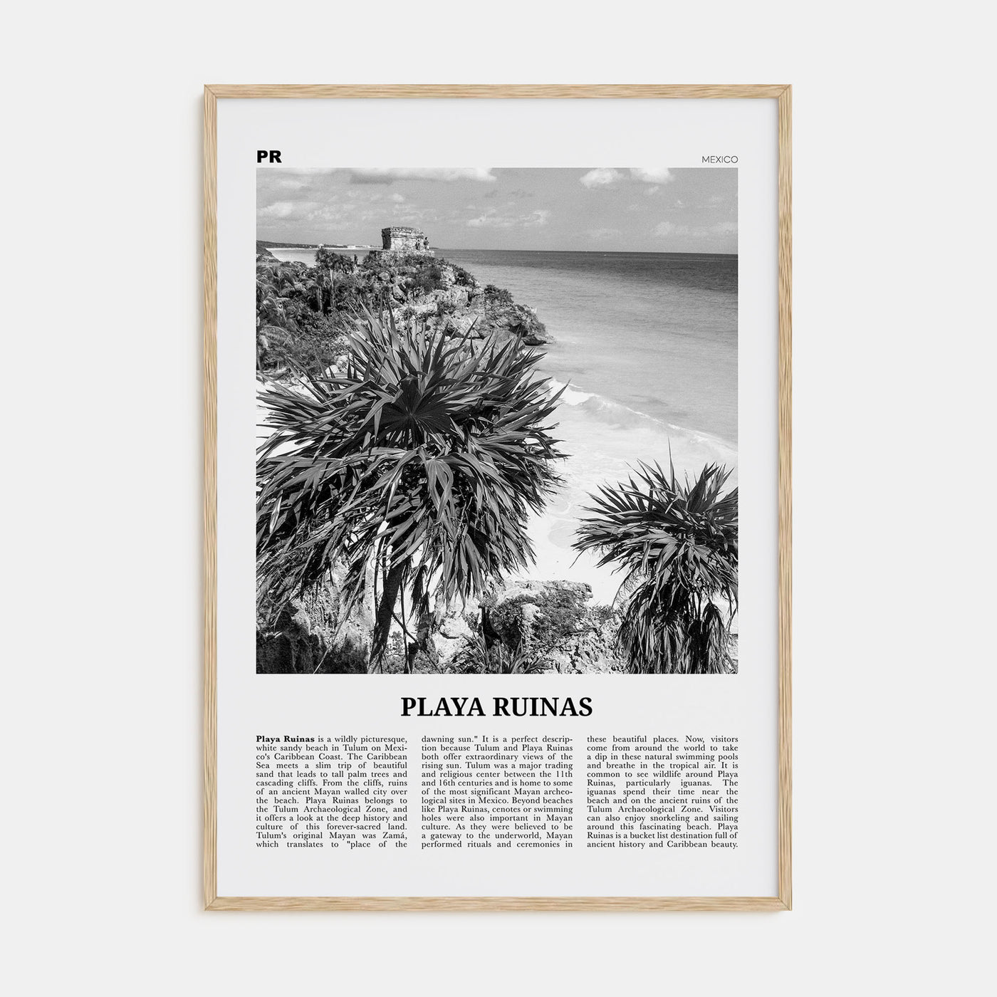 Playa Ruinas Travel B&W Poster