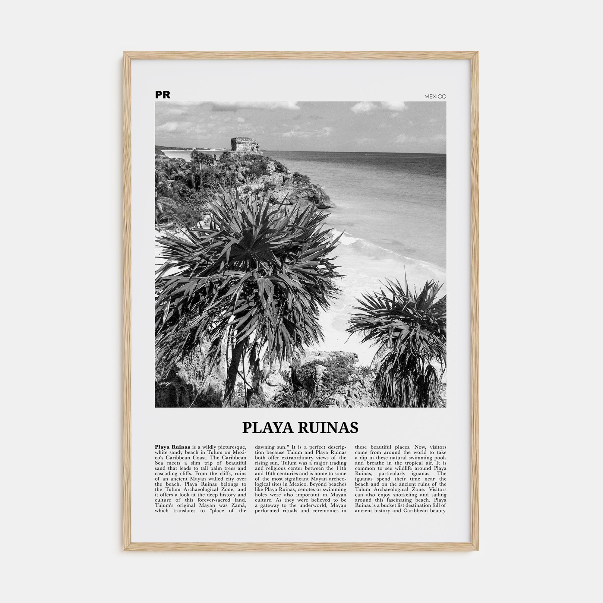 Playa Ruinas Travel B&W Poster