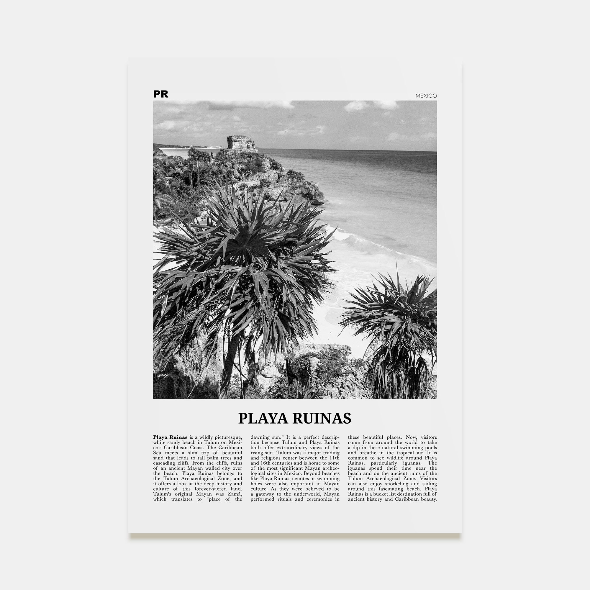 Playa Ruinas Travel B&W Poster
