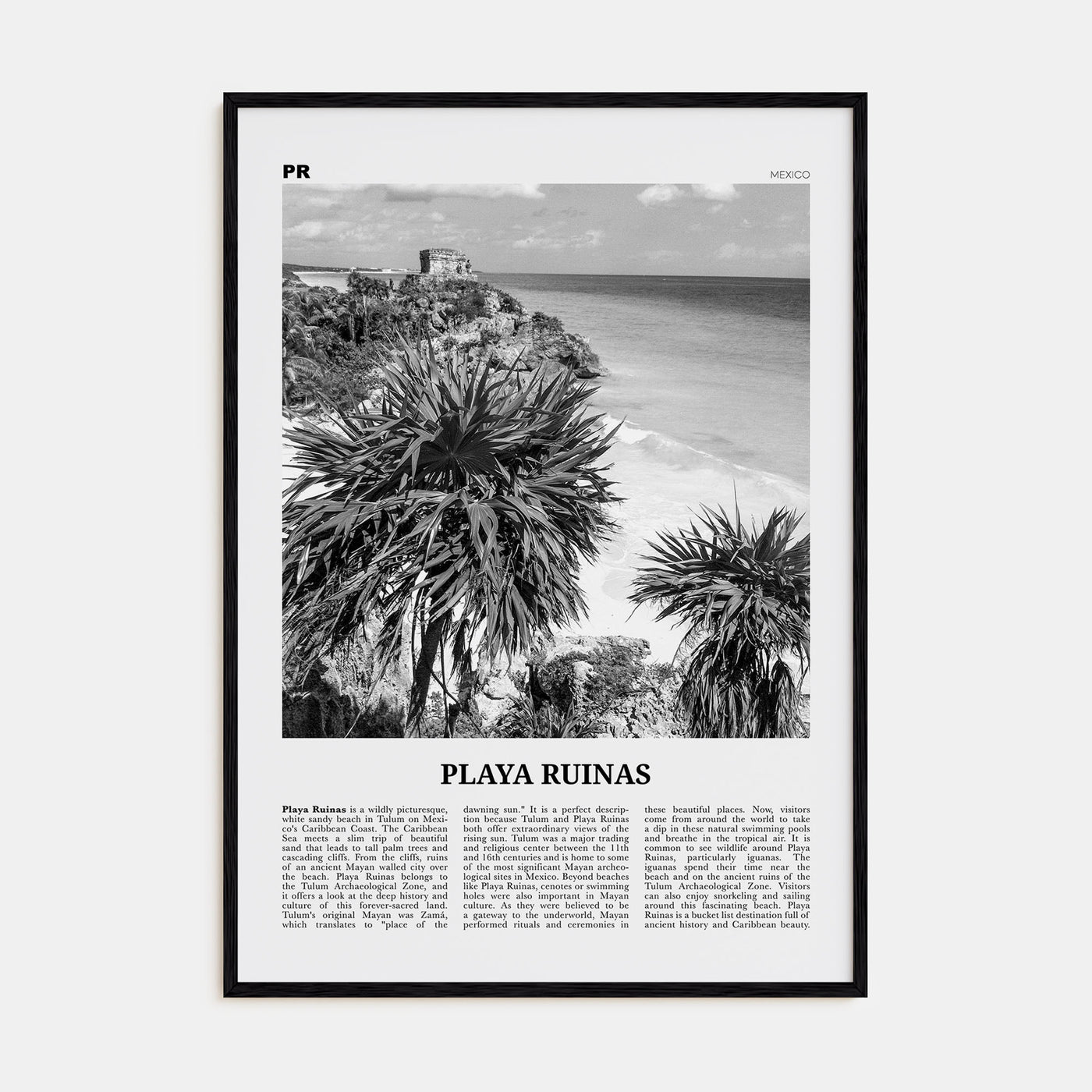 Playa Ruinas Travel B&W Poster