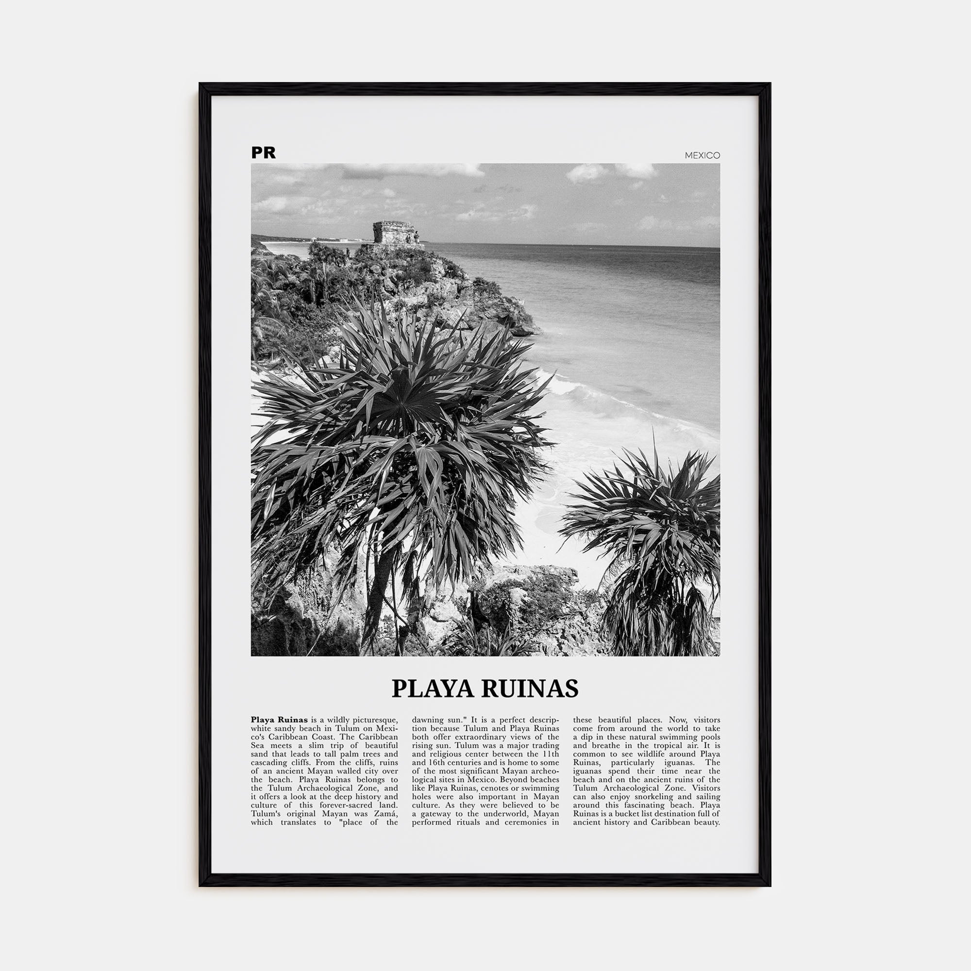 Playa Ruinas Travel B&W Poster
