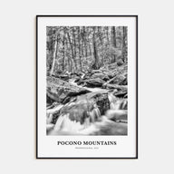 Pocono Mountains Portrait B&W Poster