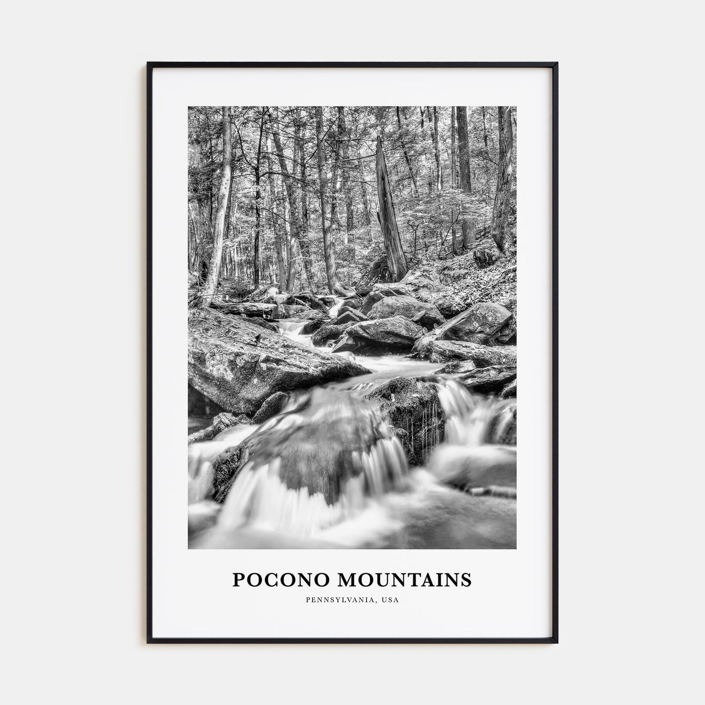 Pocono Mountains Portrait B&W Poster