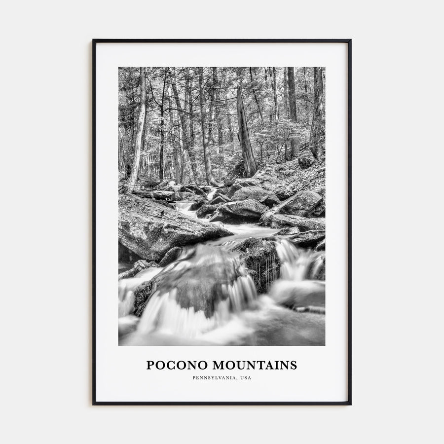 Pocono Mountains Portrait B&W Poster