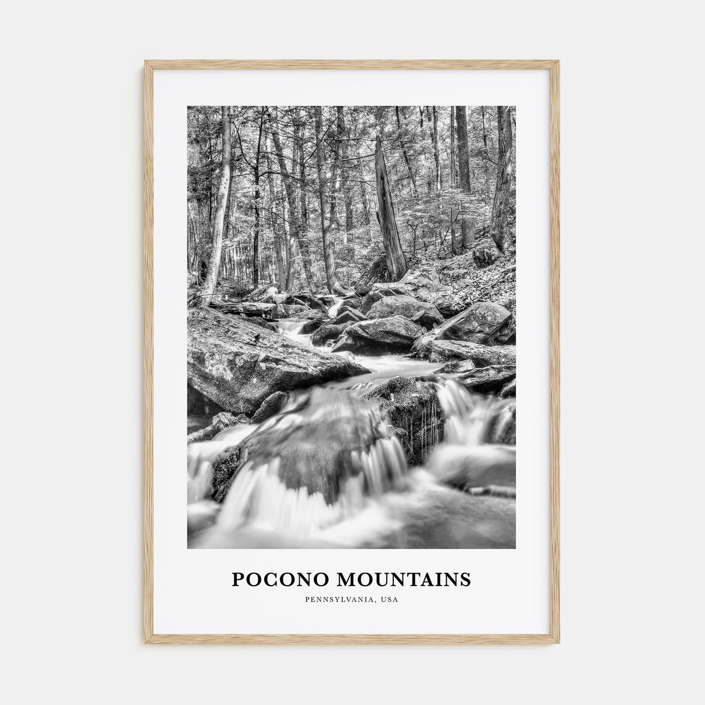 Pocono Mountains Portrait B&W Poster