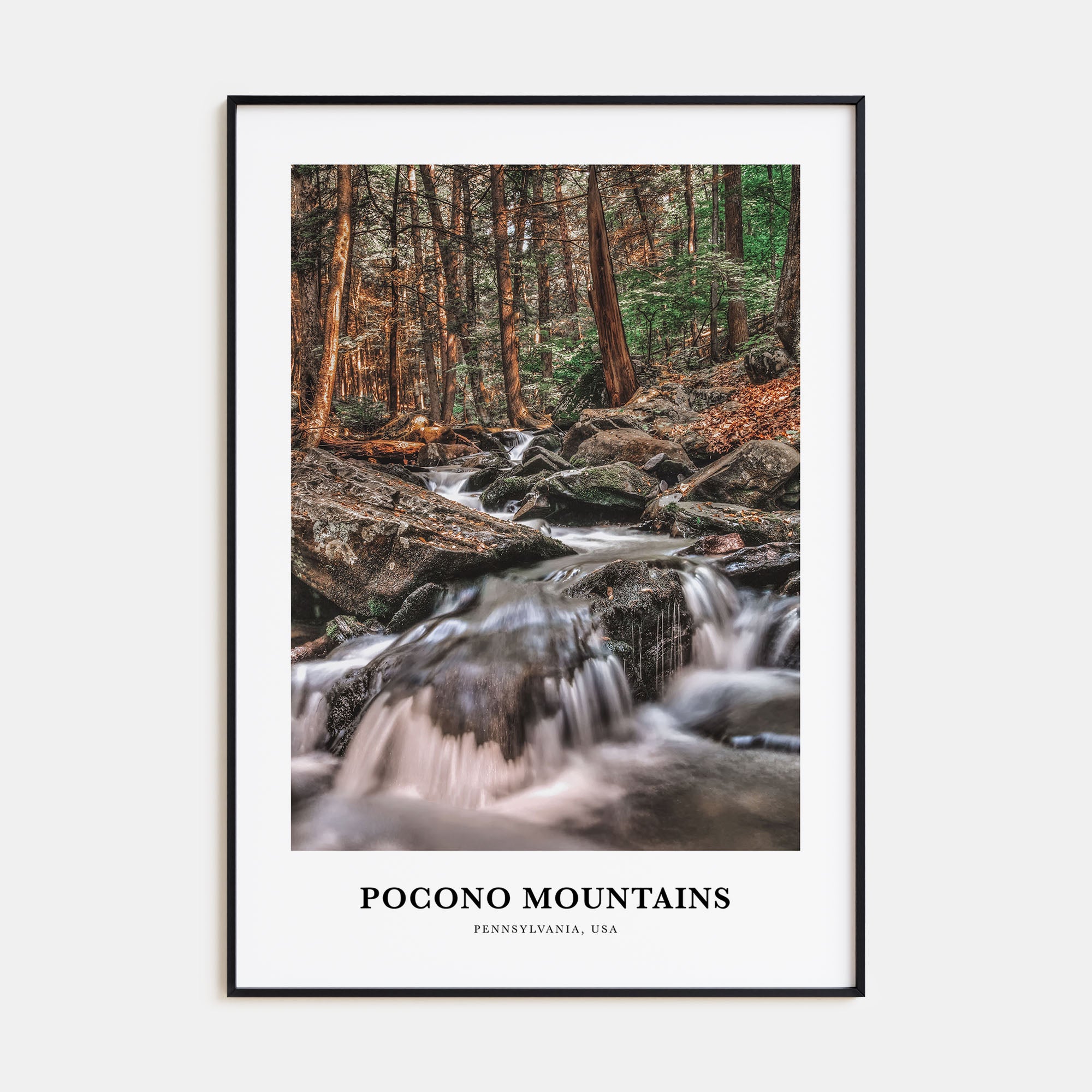Pocono Mountains Portrait Color No 2 Poster