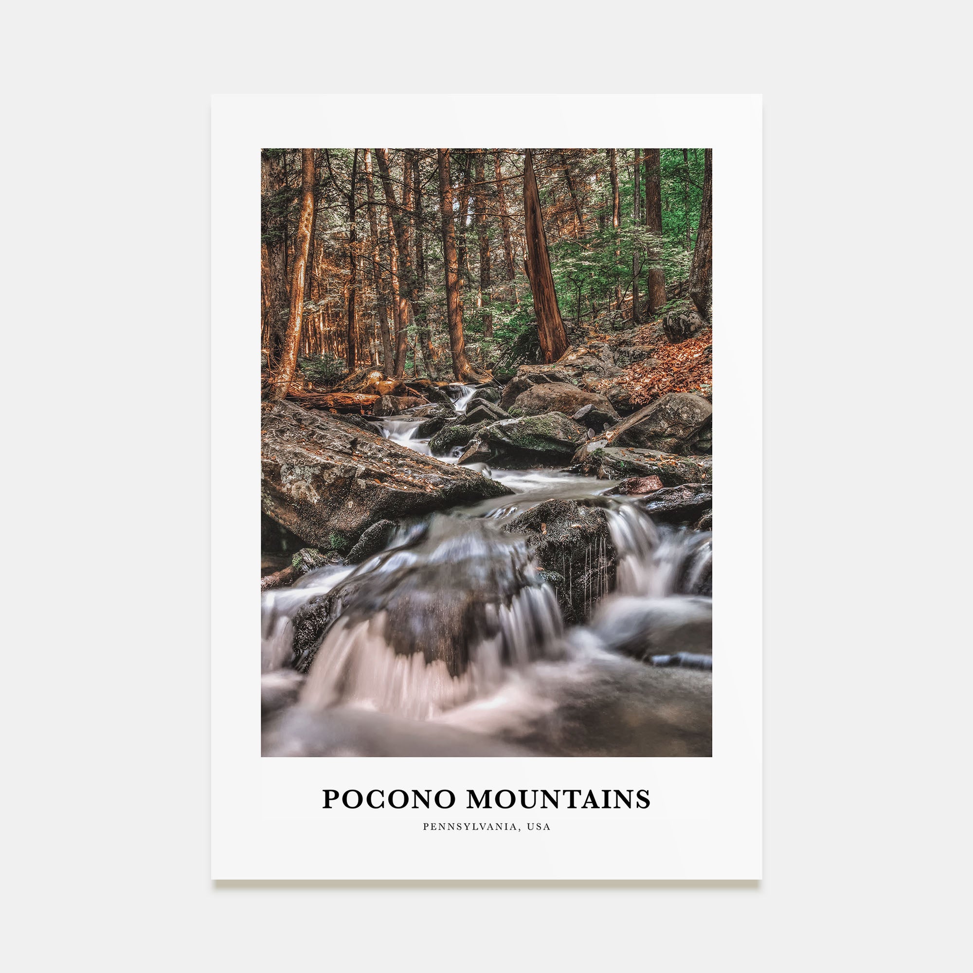 Pocono Mountains Portrait Color No 2 Poster