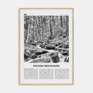 Pocono Mountains Travel B&W Poster