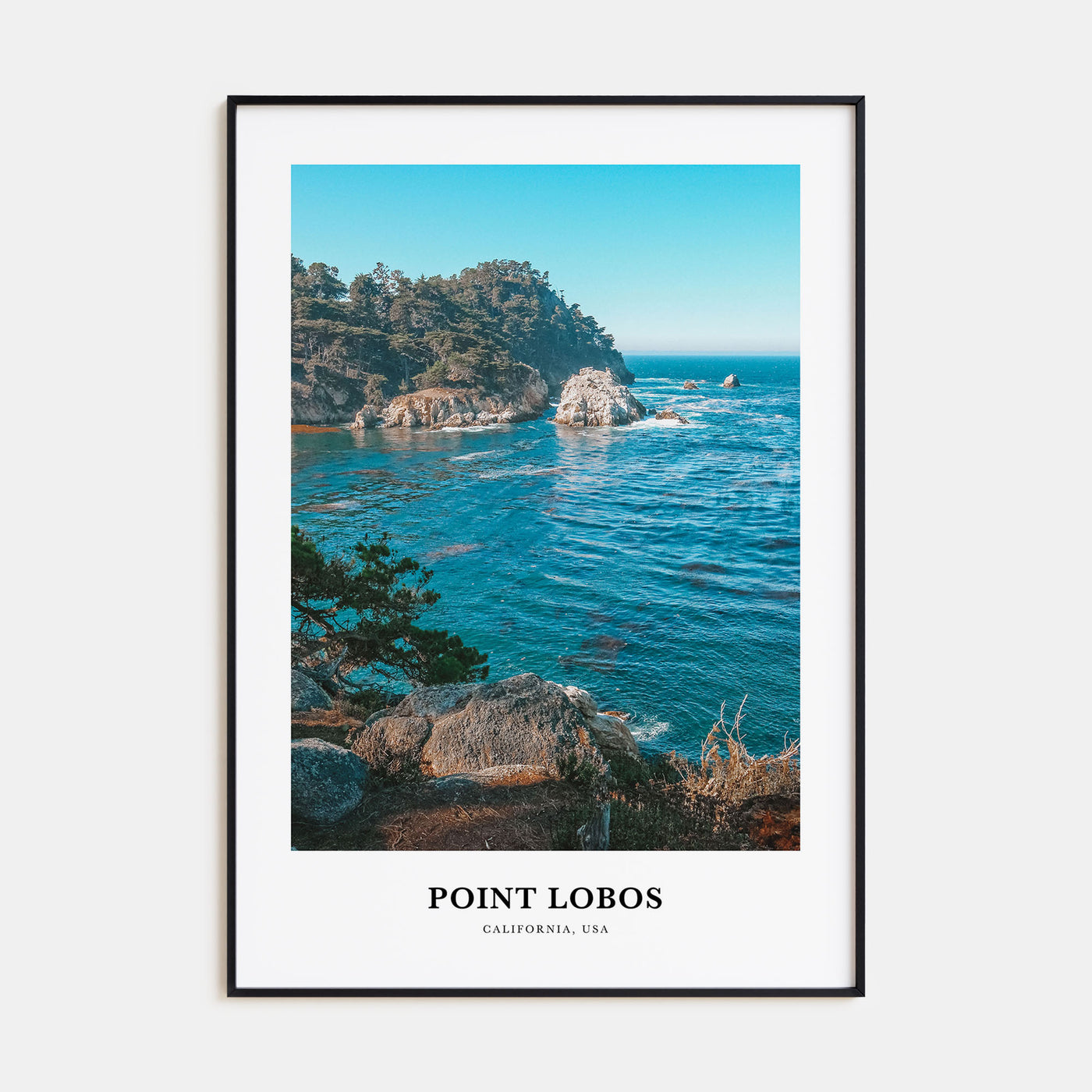 Point Lobos Portrait Color Poster