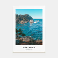 Point Lobos Portrait Color Poster