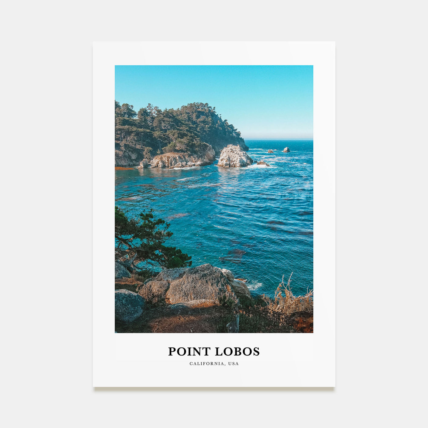 Point Lobos Portrait Color Poster