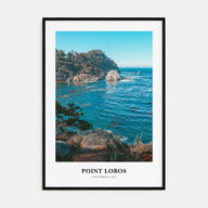 Point Lobos Portrait Color Poster