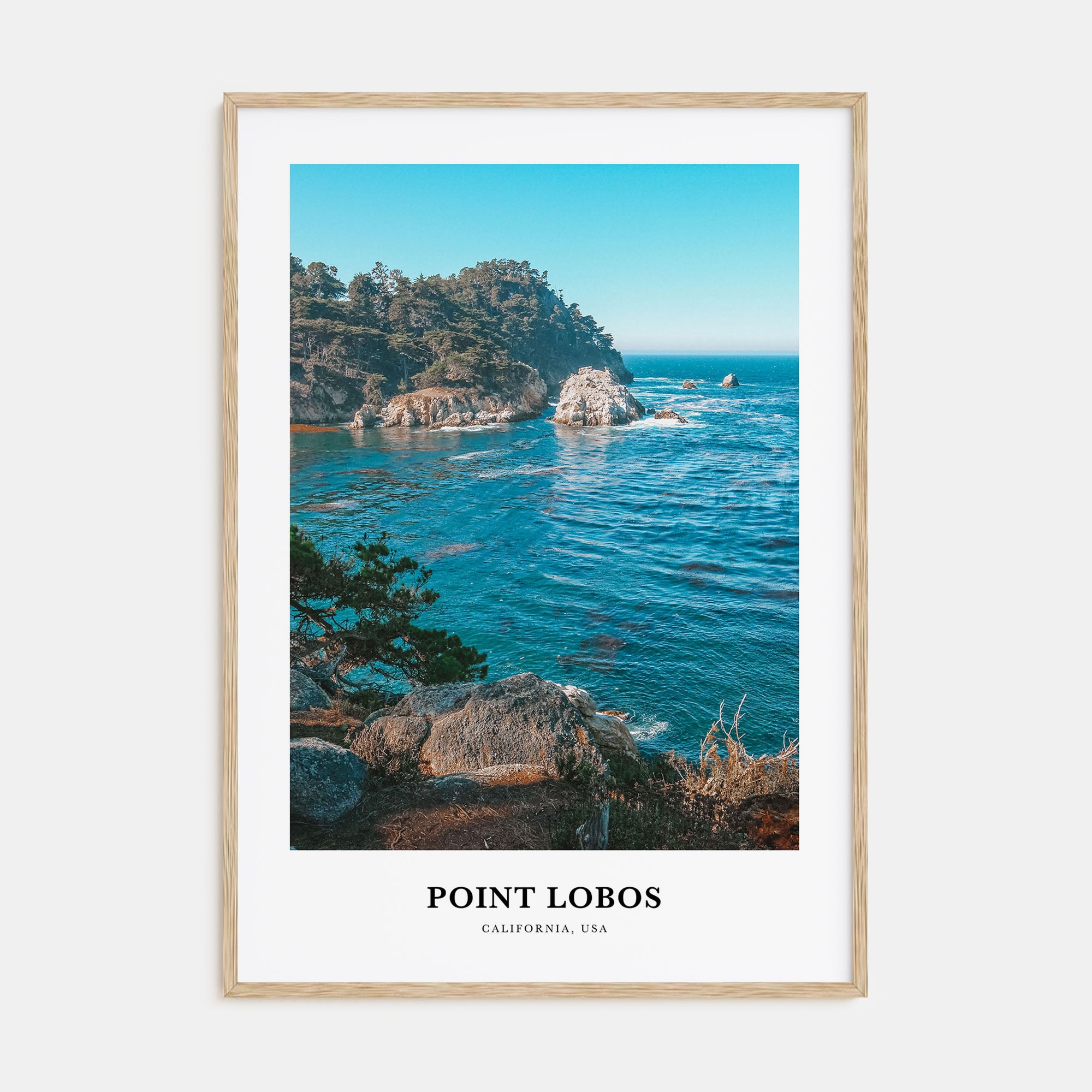 Point Lobos Portrait Color Poster