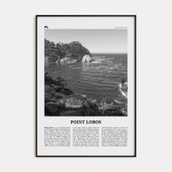 Point Lobos Travel B&W Poster