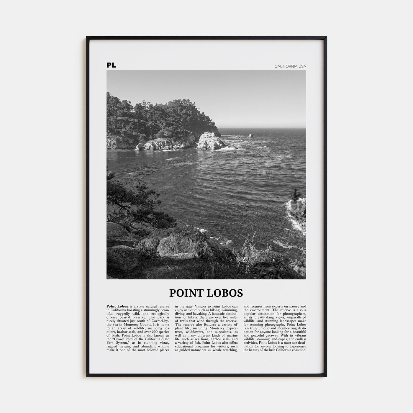 Point Lobos Travel B&W Poster