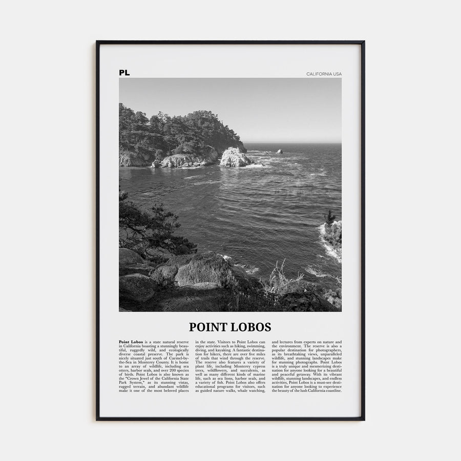Point Lobos Travel B&W Poster