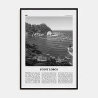 Point Lobos Travel B&W Poster