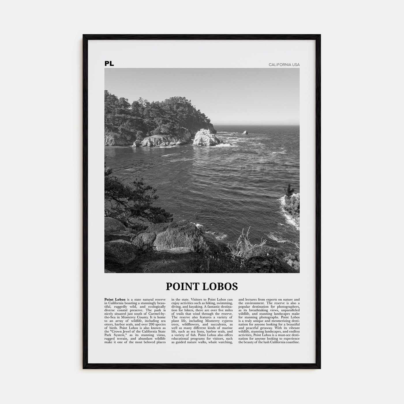 Point Lobos Travel B&W Poster