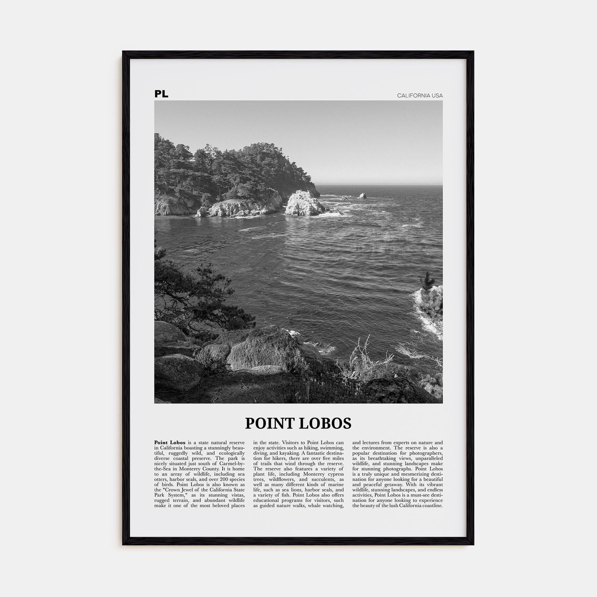 Point Lobos Travel B&W Poster