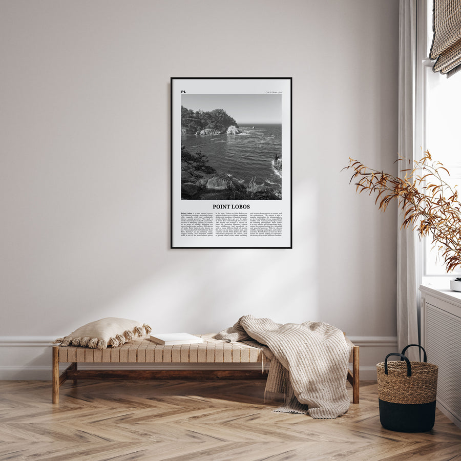 Point Lobos Travel B&W Poster