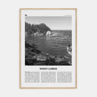 Point Lobos Travel B&W Poster