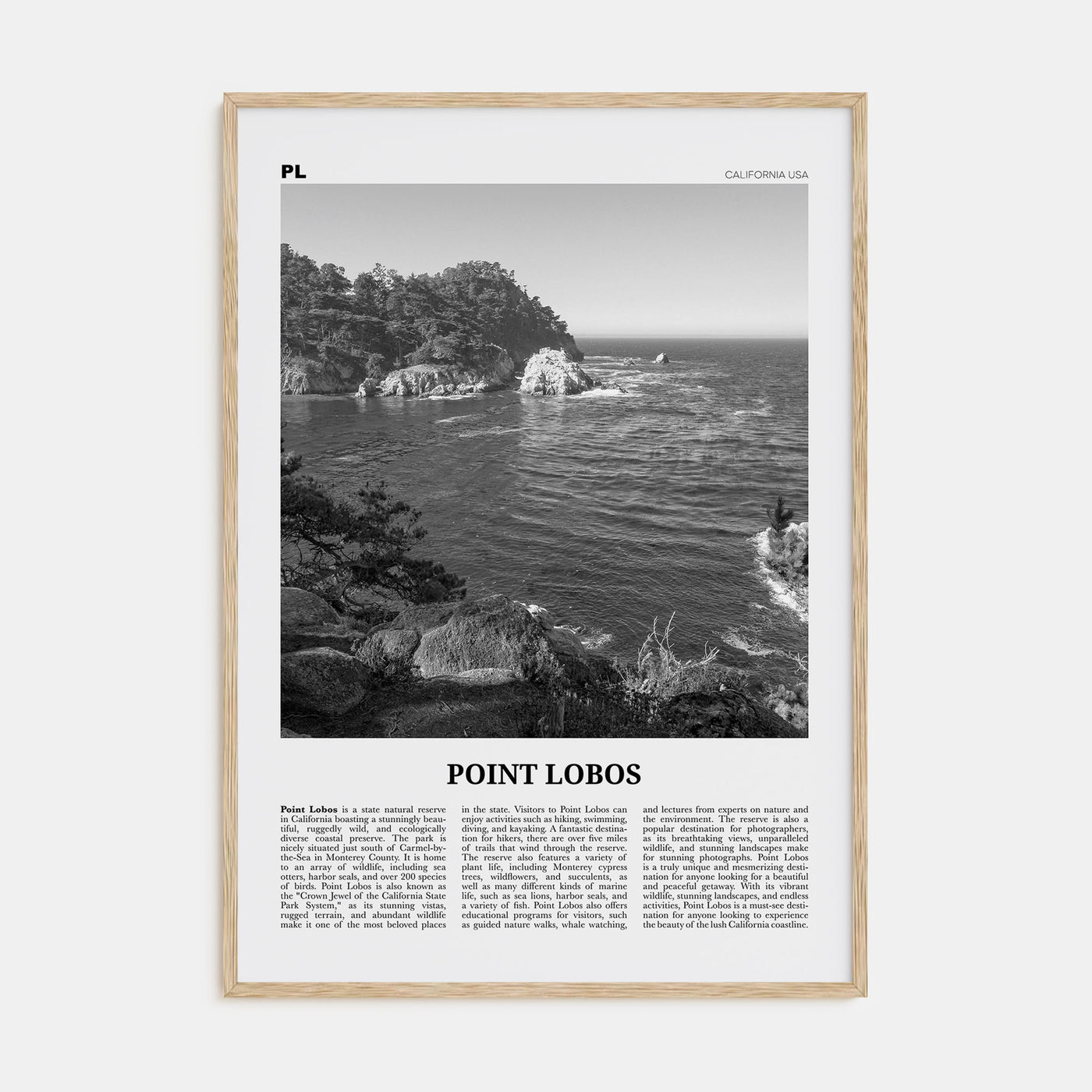 Point Lobos Travel B&W Poster
