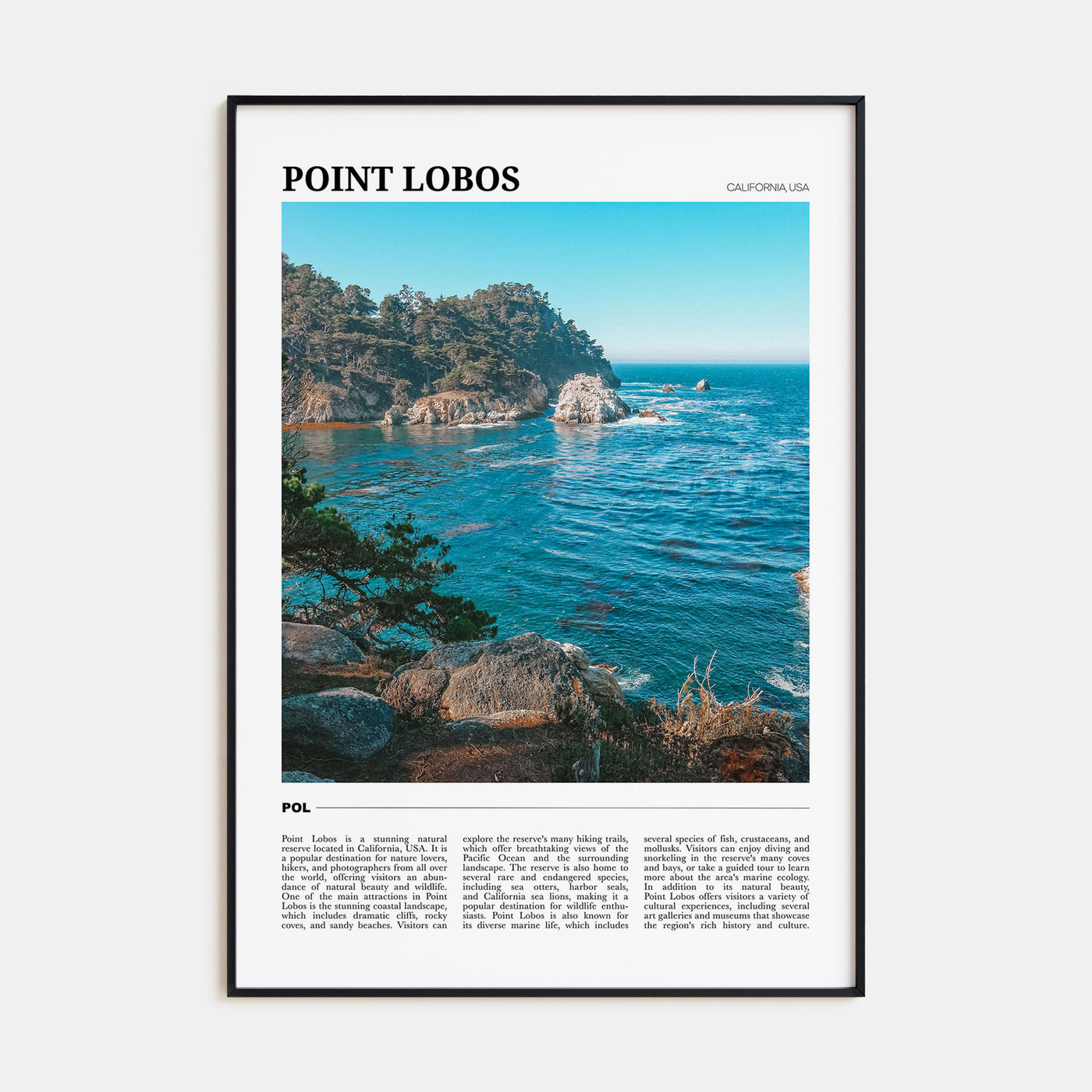 Point Lobos Travel Color Poster