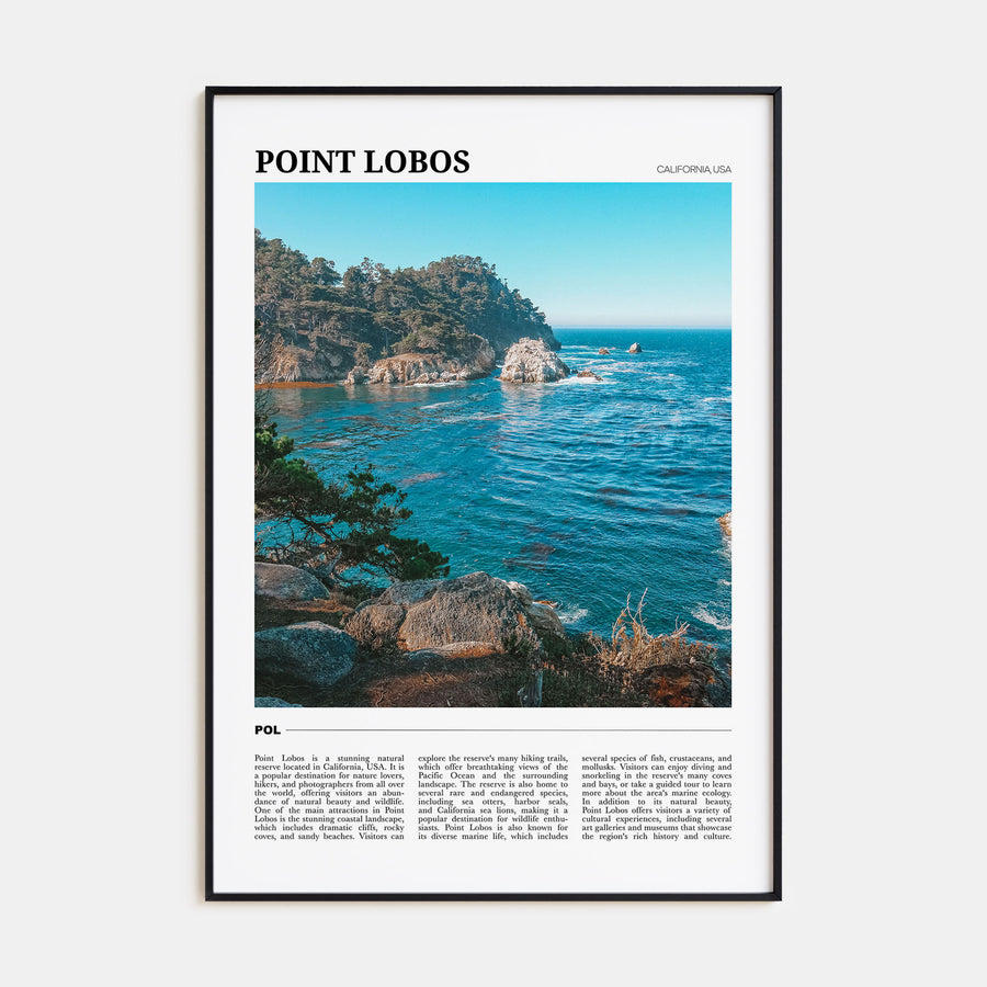 Point Lobos Travel Color Poster