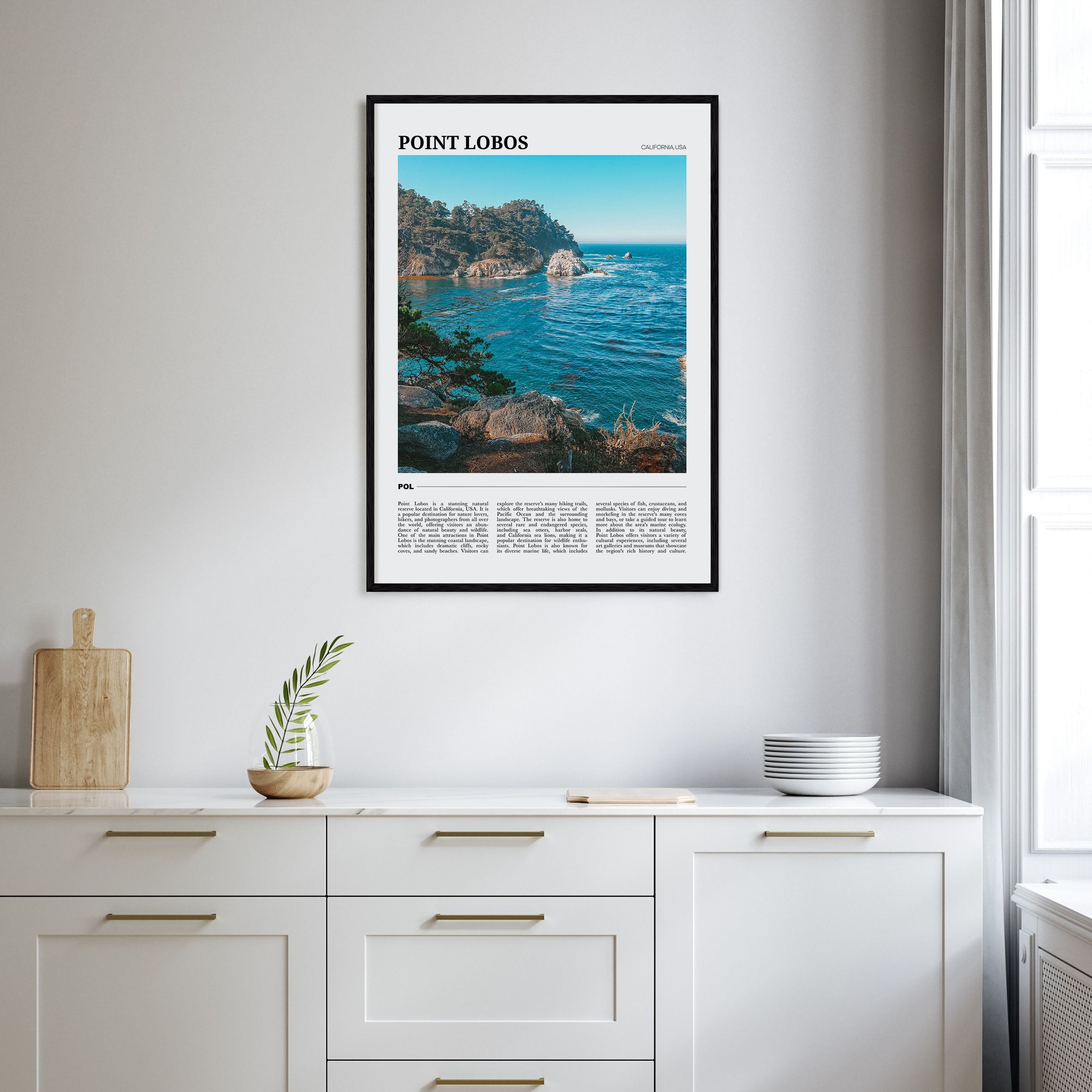 Point Lobos Travel Color Poster