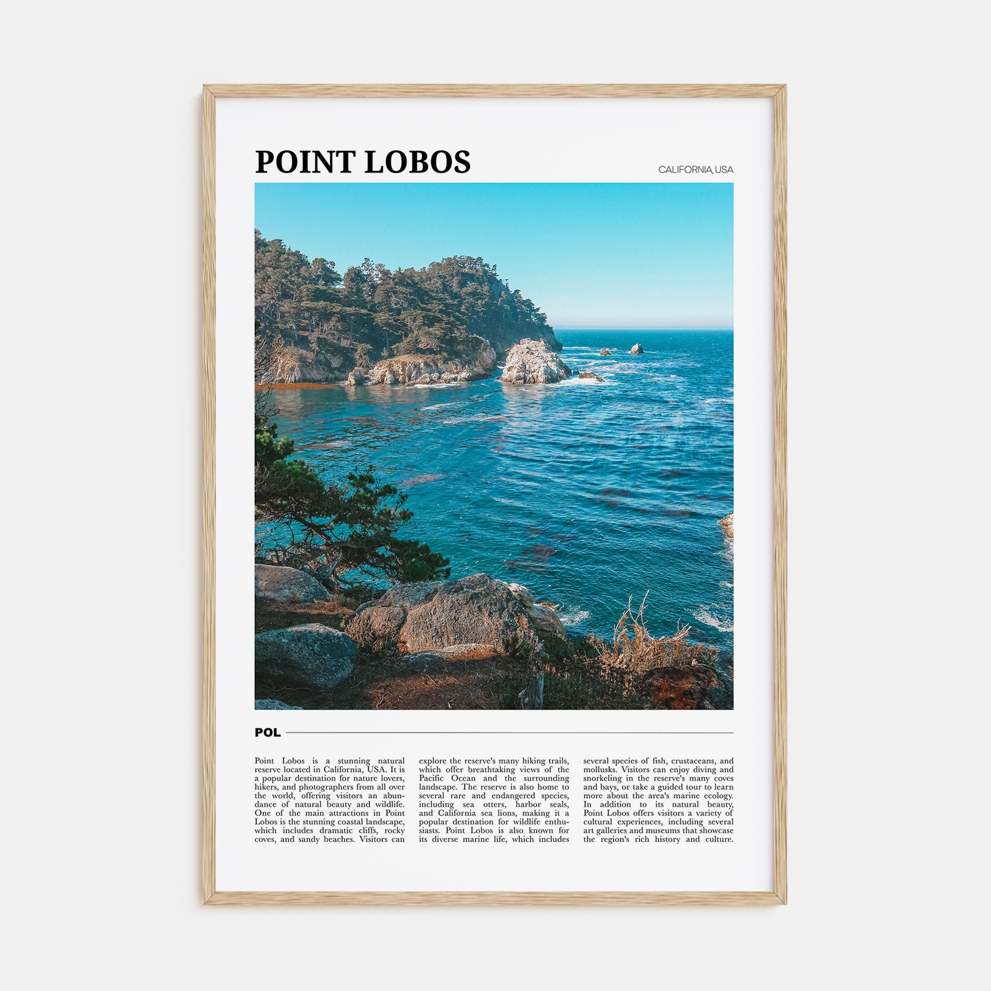 Point Lobos Travel Color Poster